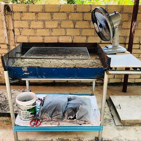 Homestay Tok Abah Dalam Rhu Пасир Путех Экстерьер фото
