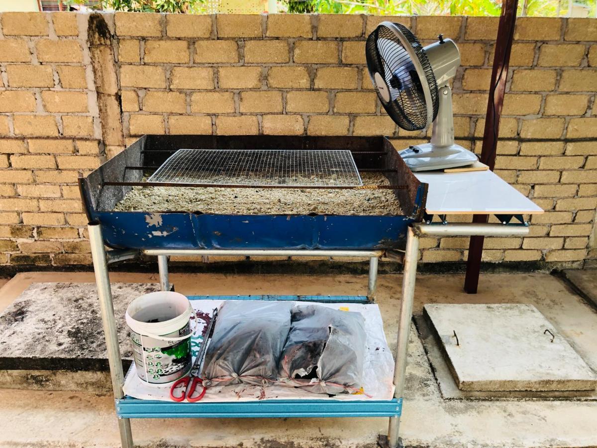 Homestay Tok Abah Dalam Rhu Пасир Путех Экстерьер фото